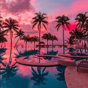 Meet your Posher, Cheyenne